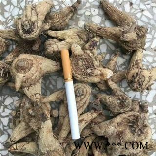 白及 白及大统个 产地 湖北省 野生白芨 白鸡儿图3