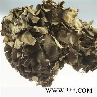 新辉药业中药 灰芝 灰树菇图3