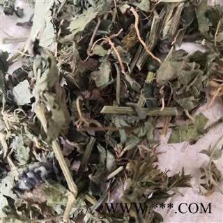 诺源药材行 爵床 小青草 六角英 赤眼老母草图2