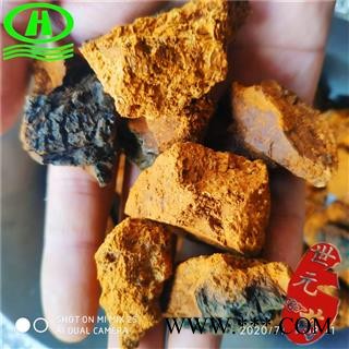 世元药业 白桦茸小块2-4cm 正桦树茸 白桦泪 桦树泪 桦树黄 桦树菇 桦褐孔菌 西伯利亚灵芝 桦树胆 桦树瘤 白桦茸 桦树菇 桦穴茸图2
