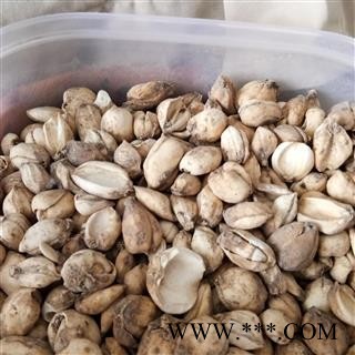 贝母 伊贝母  选货 产地 浙江省图2