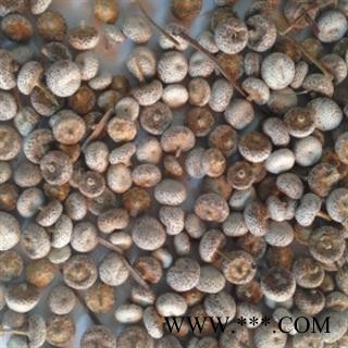 诺源中药材正品谷精珠  优质新货图2