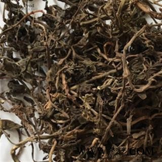 诺源药材行中药材石蝉草  火伤叶 胡椒草 散血胆图2