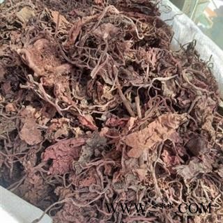 诺源药材行中药材紫背天葵草 红天葵  红叶图2