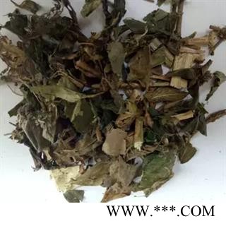 诺源中药材四川野生六月雪 满天星 白马骨 鸡骨柴图2