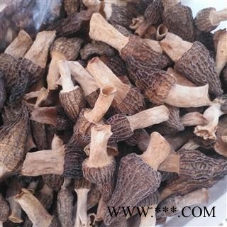 安祁名药羊肚菌图3