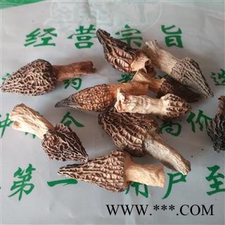 安祁名药羊肚菌图2