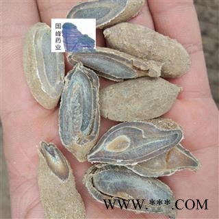 郁金 无硫磺 低价销售 颜色好 纯干 无虫蛀 国峰药业 重在品质 产地 广西壮族自治区图2