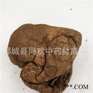 【马勃 白马勃】@【同欢药材】中药材批发供应 规格齐全 量大从优  产地 黑龙江省图2