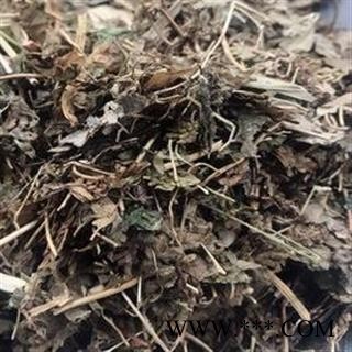 新辉药业正品野生海金沙草图2