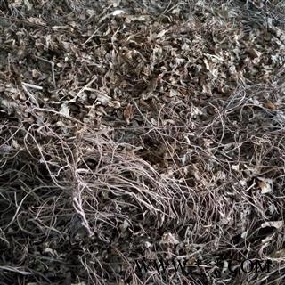 新辉药业正品野生海金沙草图3