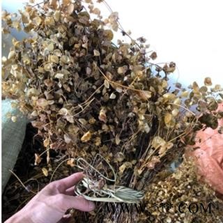 新辉药业中药材穿心草 串钱草 穿钱草 顶心风图2