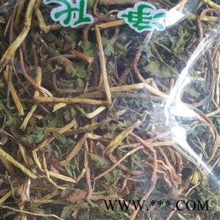 新辉药业正品一朵云 阴地蕨 小春花图1