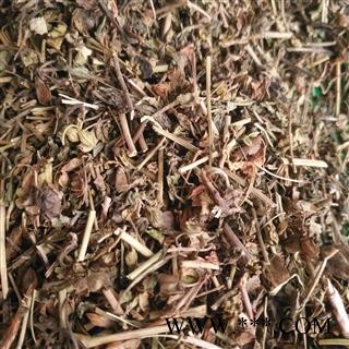 新辉药业仙桃草  无风自动草 接骨草图3