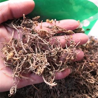 新辉药业正品垂盆草 野生垂盆草 三叶佛甲草图2