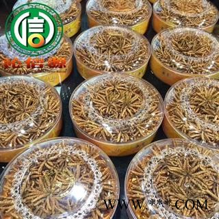 【满包邮】干虫草4500条 平均0.22~0.24克每条 散装产地直供冬虫夏草沁信源中药批发图4