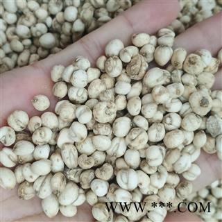 贝母 平贝母 小平贝 直径0.6-0.8厘米  精选小平贝 产地 吉林省图2