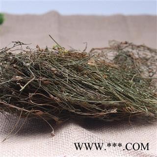 九盛堂中药材中药材兰花参 兰花参 蓝花参 兰花参 寒草图2