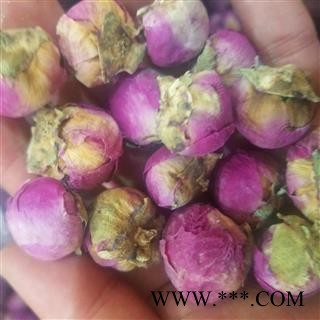 牡丹珠 牡丹花图4