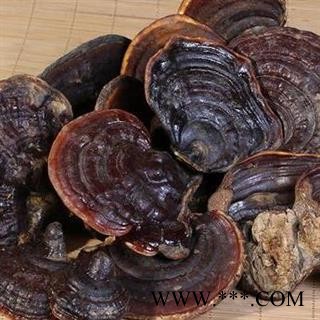 新辉药业中药材 无柄赤芝图2