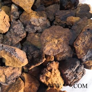 新辉药业正品白桦茸 桦树茸图2