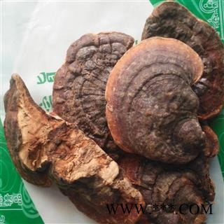 新辉药业野生灵芝 海南平盖灵芝图4