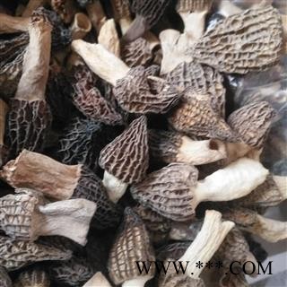 新辉药业优质羊肚菌 羊蘑 羊肚菜图2