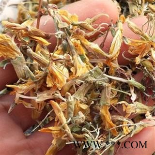 诺源药材行野生中药材金雀花图1