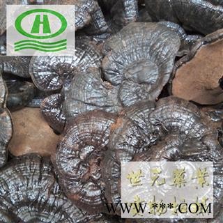 世元药业 紫灵芝 正品 大选天然【灵芝大全】图2