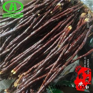 世元药业 灵芝草 灵芝根 三秀 菌灵芝根 药店诊所专供图2