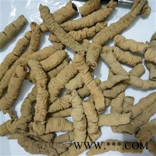 巴戟天 手选个 特级个 产地 广东省图2