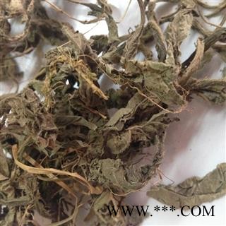 诺源药材行中药材地胆草 草鞋根 草鞋底 地胆头图2