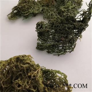 安祁名药中药材海藻 野生海兔粉 红海粉  50克/包图2