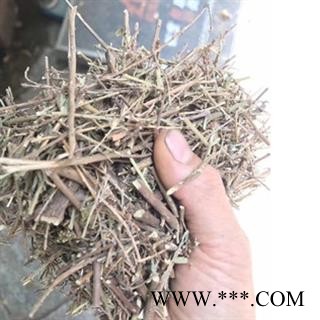 诺源药材行中药材正品冷背中药夜关门 铁扫帚 苍蝇翼 三叶公母草图2