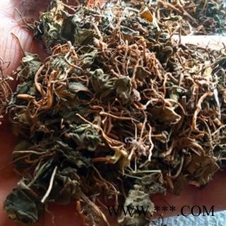 诺源药材行正品杜衡  杜葵 马蹄香  杜衡葵图1