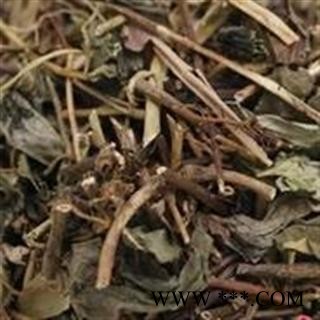 诺源药材行中药材肺形草 蝴蝶草 穿藤金兰花 铜交杯 铁板青图2