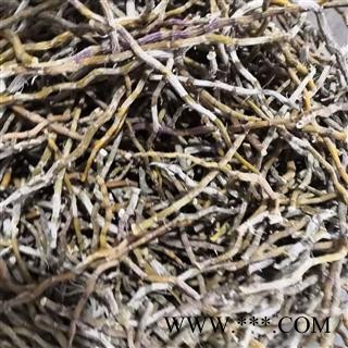 诺源药材行中药材石斛条 铁皮石斛条  石斛花图2