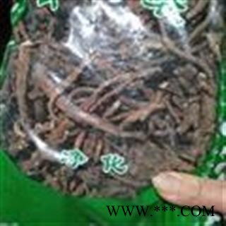 新辉药业正品蒲公英根  优质野生图3