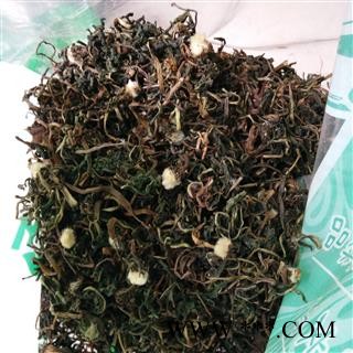 新辉药业野生蒲公英 优质花茶图2