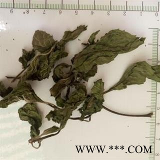 新辉药业薄荷 薄荷叶  正品新货图2