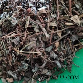 新辉药业中药材过路黄 黄花香图1