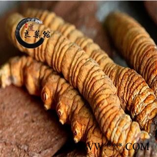 冬虫夏草 藏虫草精选8000条 药典标准 地道良药馆10克起拍图2