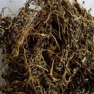 新辉药业鹅不食 鹅不食草图1