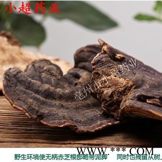 灵芝 野生黑灵芝个 有黑灵芝片 选货 产地 湖南省图3