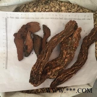 新辉药业正品藏药 锁阳 不老药 地毛球图2