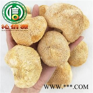 【满包邮】猴头菇个子统货散装云南产地直供猴头菌 刺猬菌 猬菌 猴菇沁信源中药材批发图3