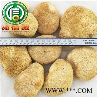 【满包邮】猴头菇个子统货散装云南产地直供猴头菌 刺猬菌 猬菌 猴菇沁信源中药材批发图2