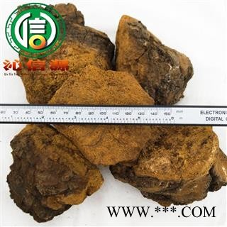 【满包邮】白桦茸统块散装黑龙江产地直供桦树茸 白桦泪 桦树泪 桦树黄 桦树菇 桦褐孔菌沁信源中药批发图2