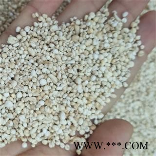 贝母 平贝母 米贝母 直径0.4厘米 贝母米  平贝母 产地 吉林省图2