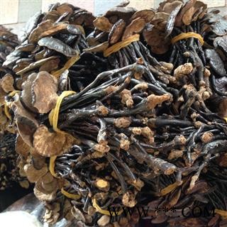 新辉药业 正品灵芝 竹灵芝  长颈灵芝图4